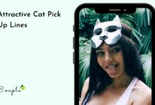 Attractive Cat Pick Up Lines