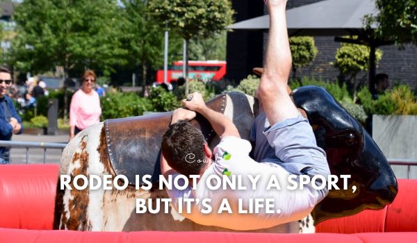 Bull Riding sayings