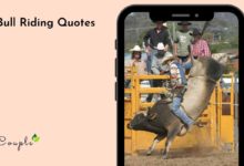 Bull Riding Quotes