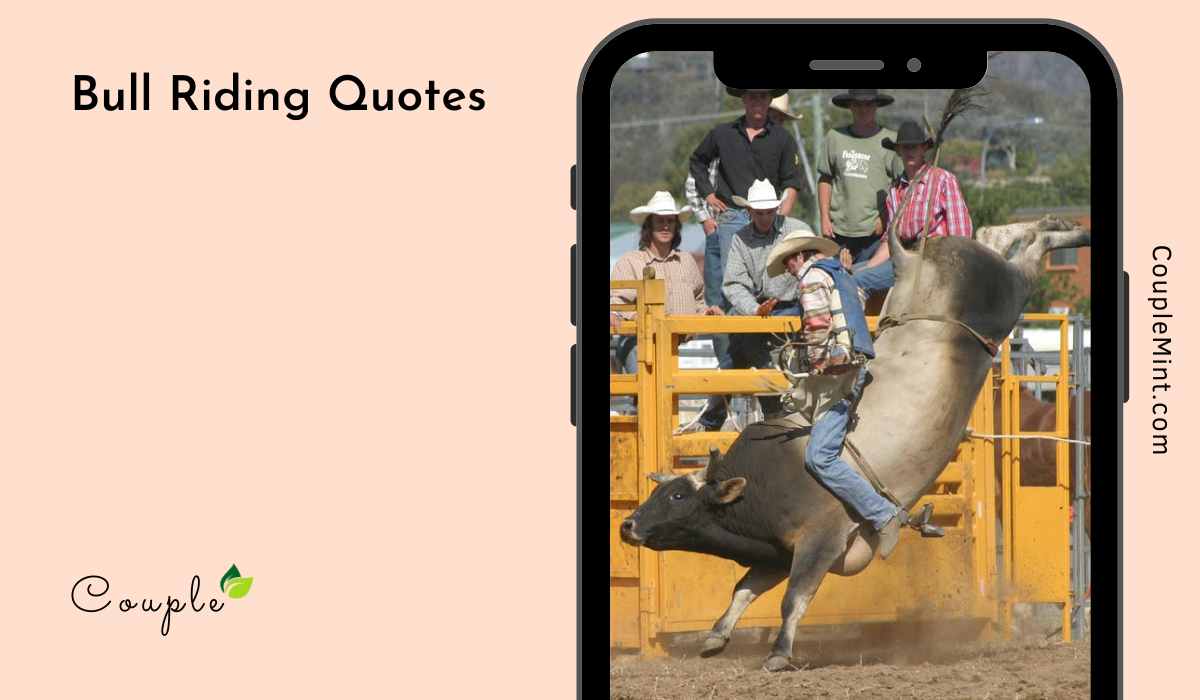 Bull Riding Quotes